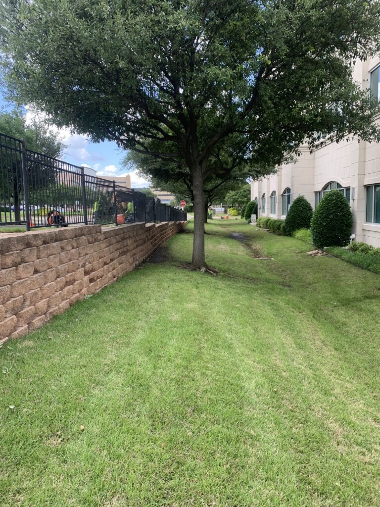 HOA tree care
