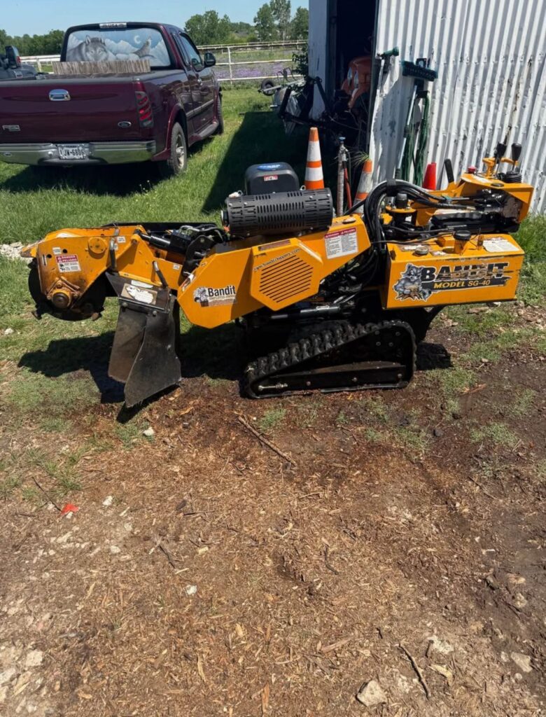 Tree stump grinding in progress